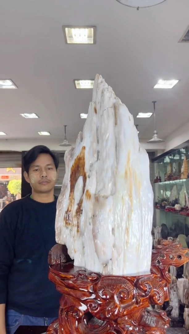 【闪购商品】硅化玉珠宝奇石未镶嵌缅甸天然树化玉