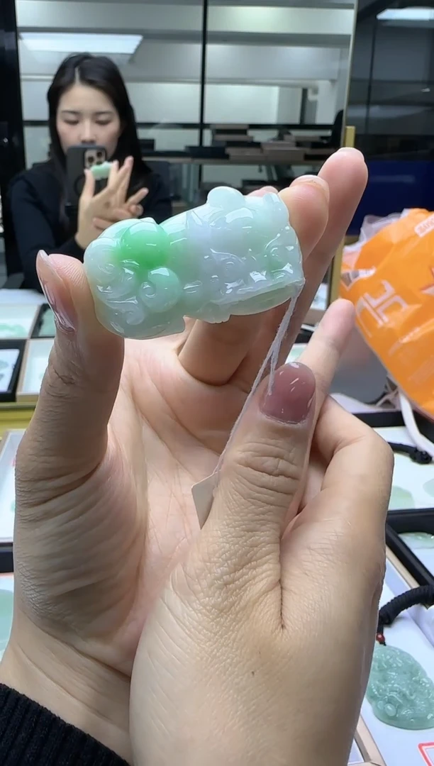 【闪购商品】翡翠颈饰未镶嵌貔貅