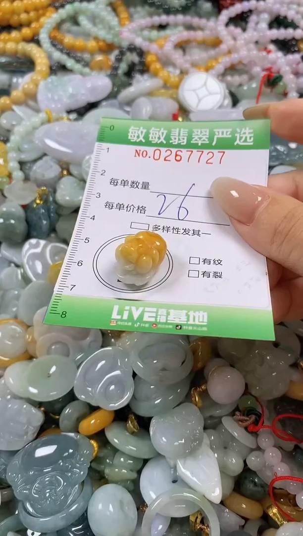 翡翠未镶嵌颈饰闪购0267727