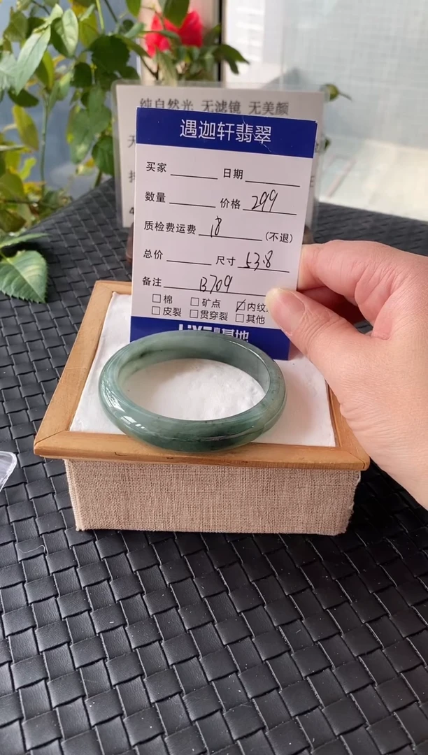 未镶嵌手镯翡翠53.5圈口 B709编码