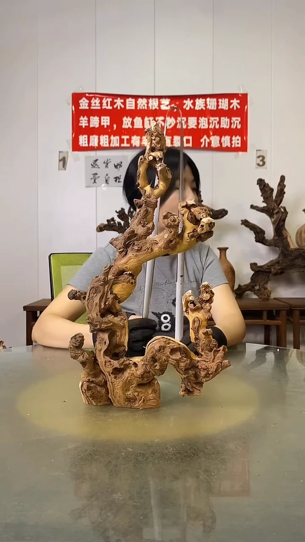 香榧木依*金丝红木   羊蹄甲