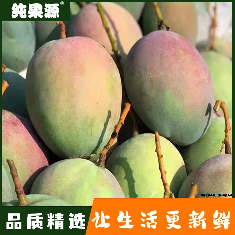 【纯果源小时达】凯特芒果【两颗装/约3.5-4斤】