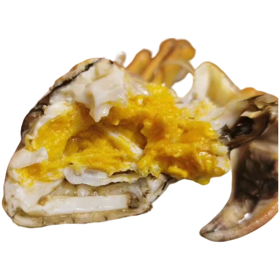 【活蟹】[好运鲤]鲜活大闸蟹母蟹1.3-1.6两/只螃蟹 1只装 拍10送1只