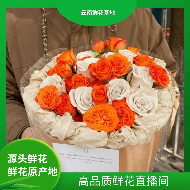 颜花【曼塔+橙色芭比】云南鲜花 任意两单升级顺丰/空运
