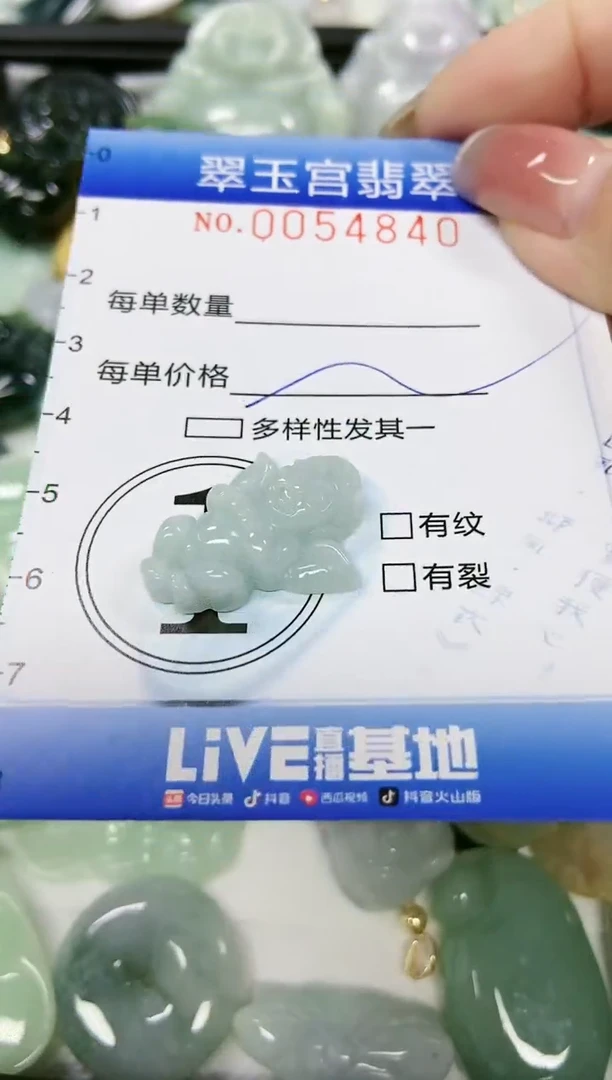 【闪购商品】翡翠颈饰未镶嵌闪购0054840