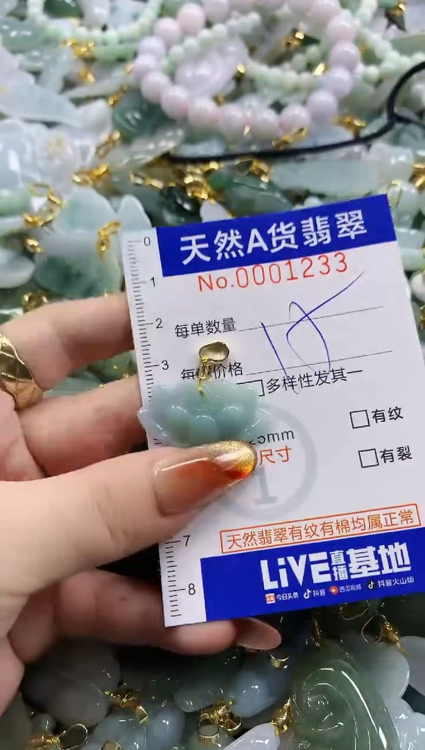 颈饰未镶嵌翡翠天然A货翡翠