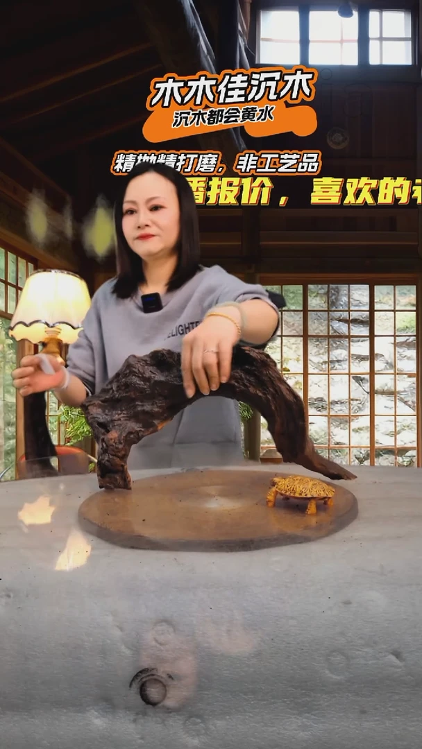 巴*瑞木木佳沉木鱼缸造景087