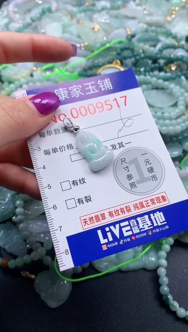 颈饰未镶嵌翡翠9518