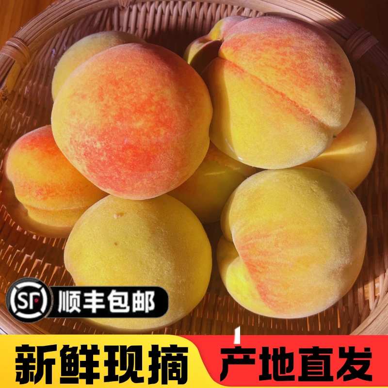 【张申然推荐】贵州生态种植黄金桃偏坡下院当季现摘顺丰包邮