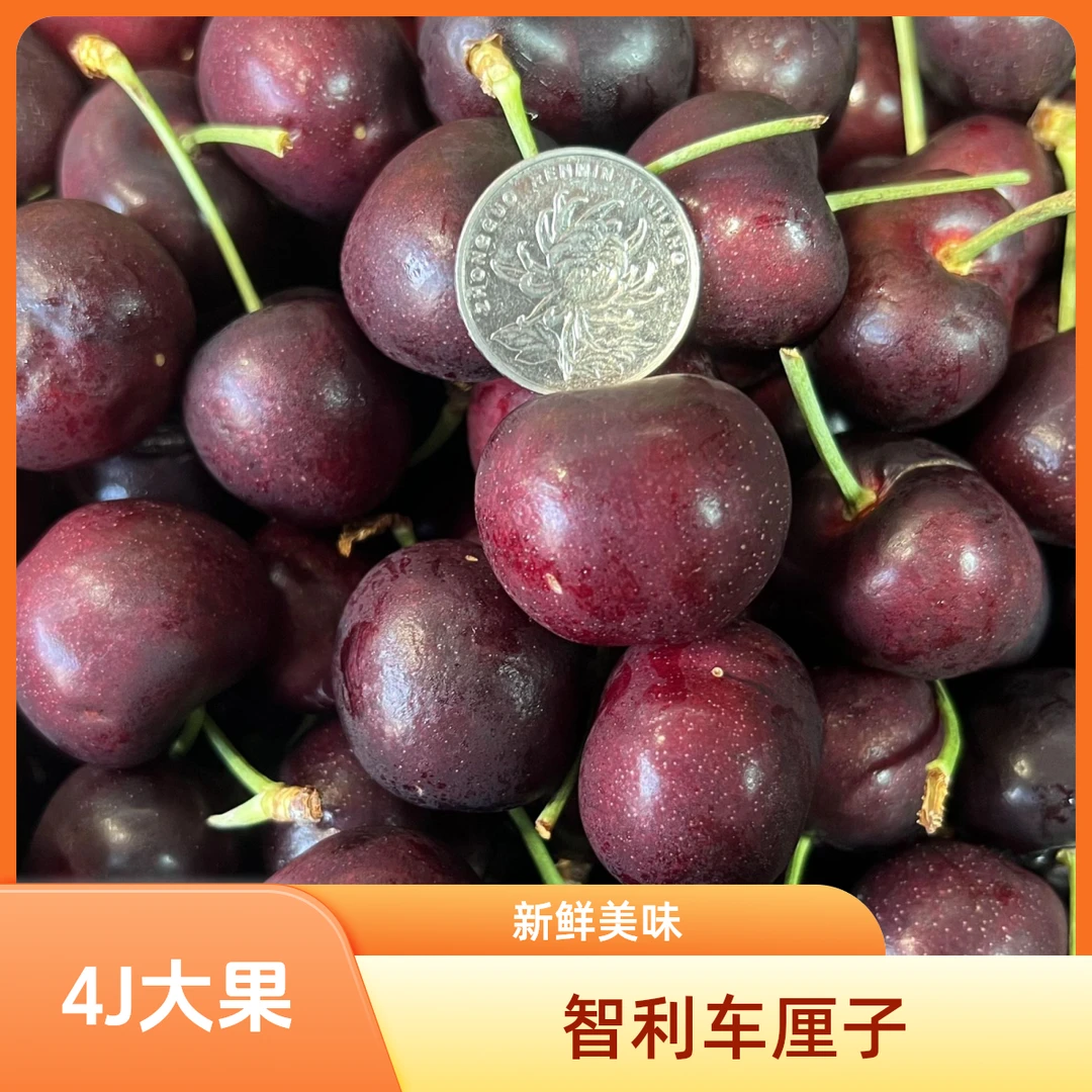 空运3J级车厘子500g盒装智利