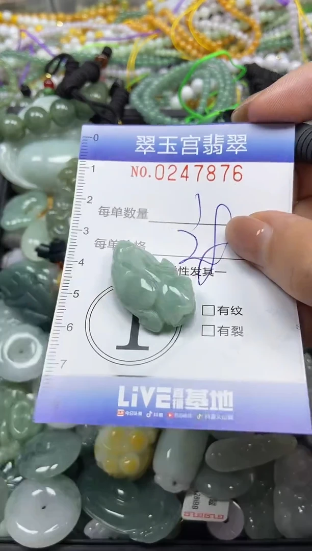 颈饰未镶嵌翡翠闪购C0247876