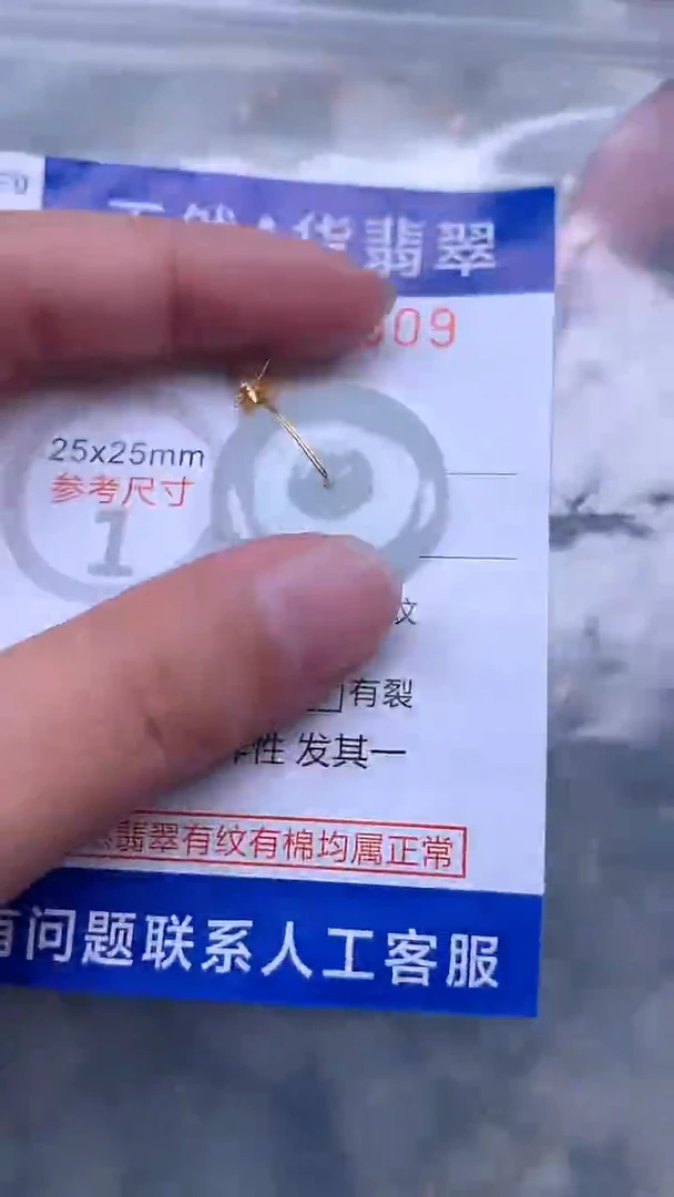 翡翠未镶嵌吊坠(不含链)1