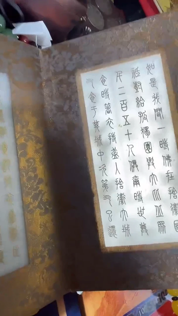 【闪购商品】贝壳摆件撤店清仓好物分享