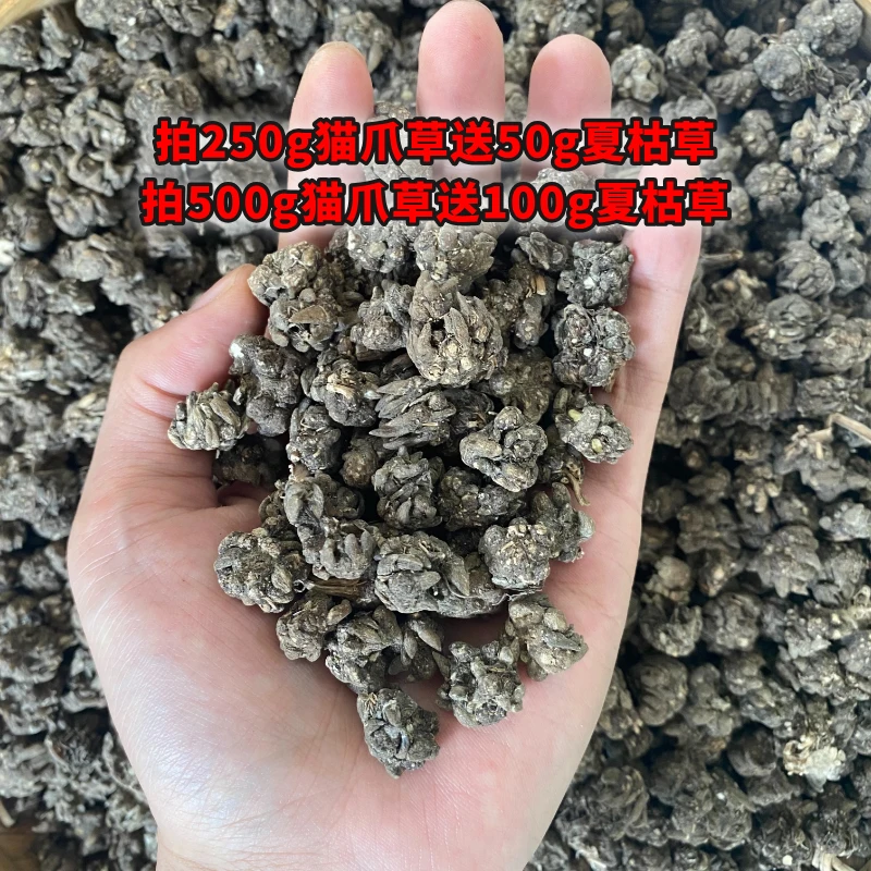 猫爪草 包邮 云南特产深山自然生长猫爪草可搭配夏枯草钻地鼠