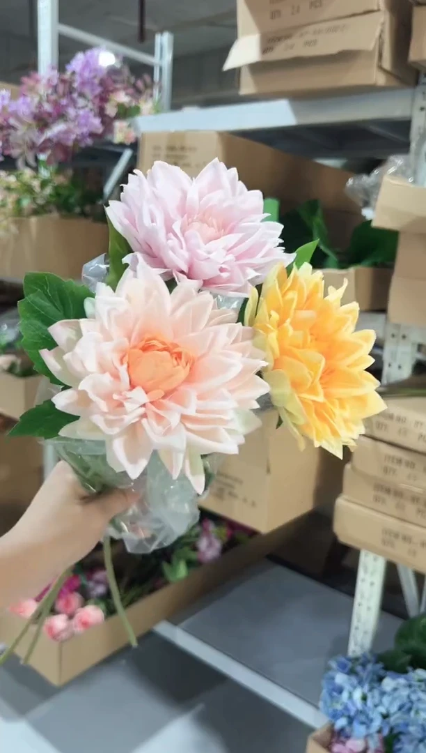 3枝混色手感保湿大丽花（单头）