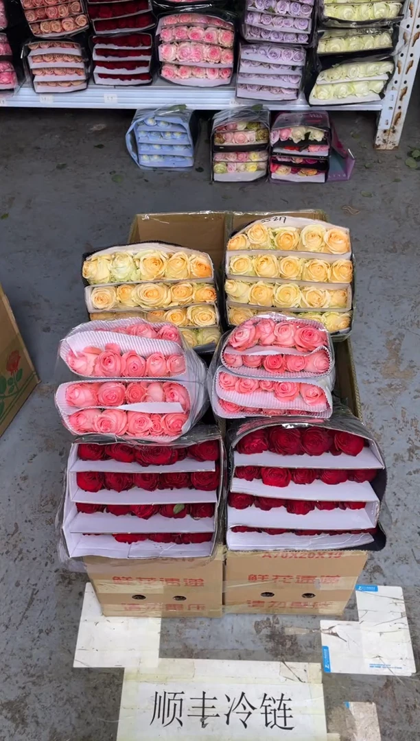 高原红20枝+戴安娜20枝+香槟20枝