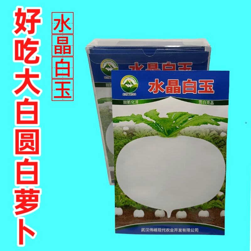 精选特级水晶圆萝卜种子春不老水果圆萝卜种籽高产秋季蔬菜甜脆爽
