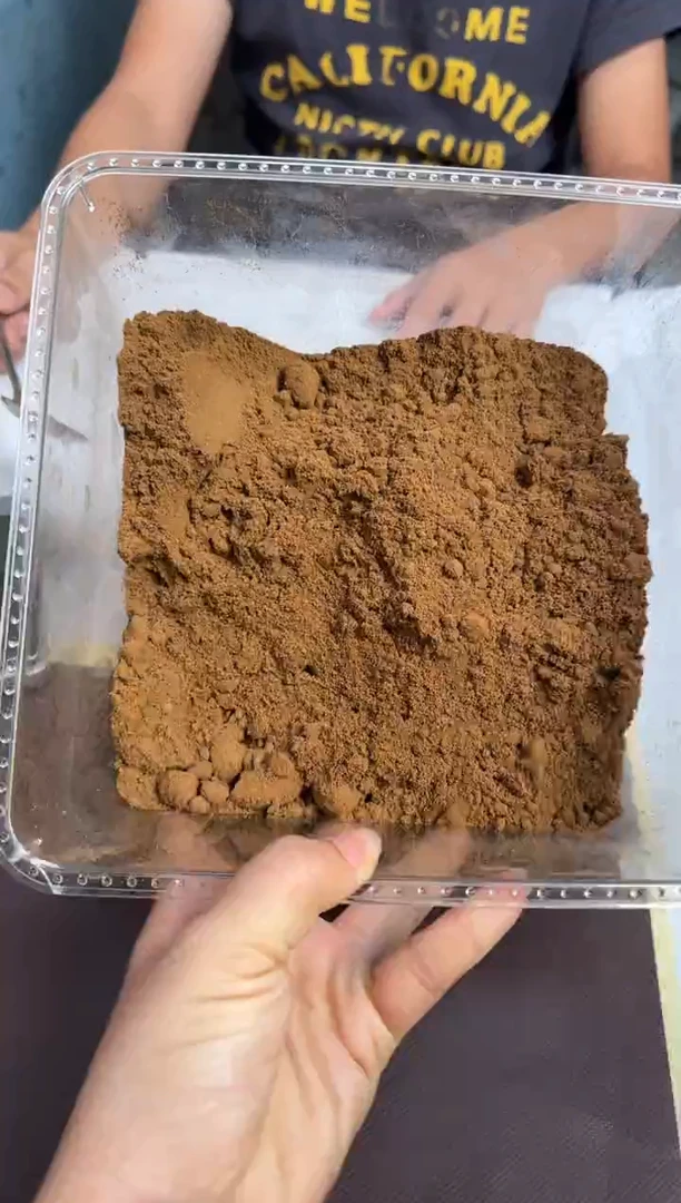 沉香碎屑沉香高结油海南吊罗山国香奇楠沉香熏香粉50g+多样性发1