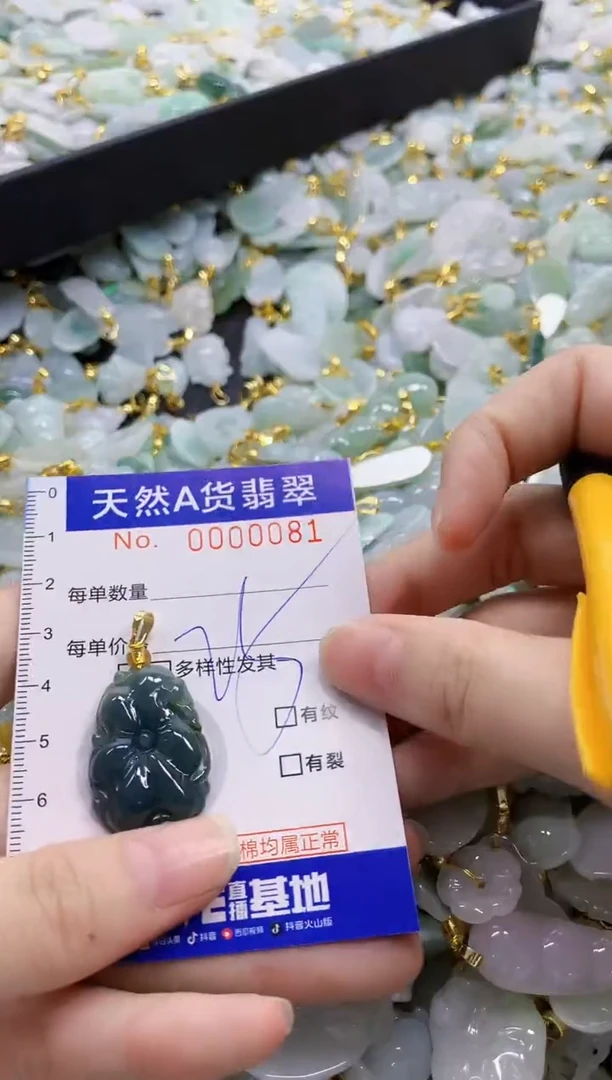 颈饰未镶嵌翡翠纯天然a货翡翠