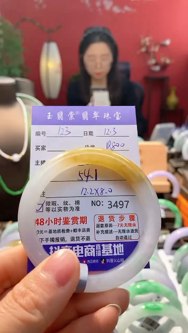 未镶嵌手镯翡翠翡翠123