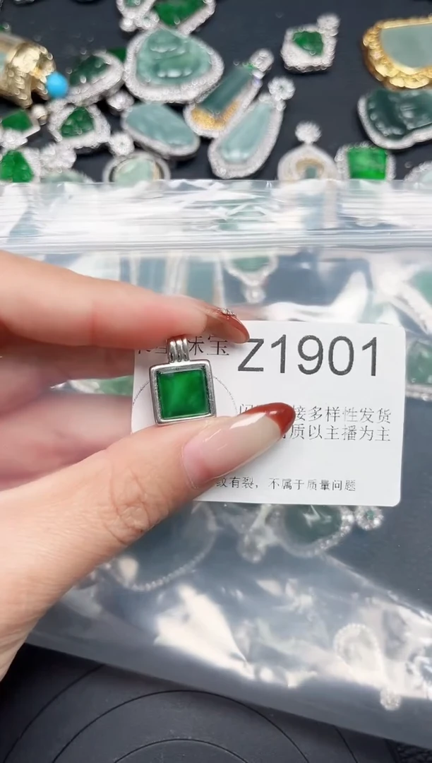 【闪购商品】翡翠颈饰未镶嵌 赠皮绳1901