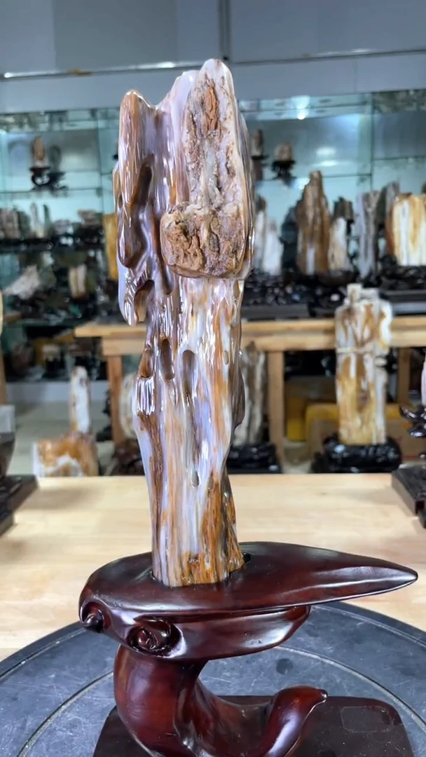 【闪购商品】硅化玉珠宝奇石未镶嵌520