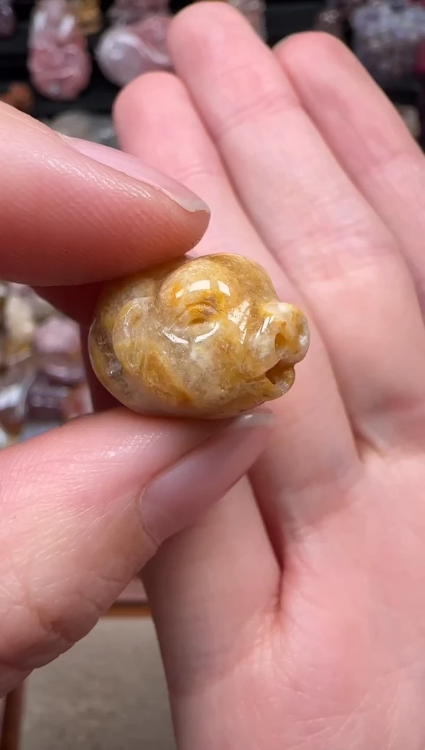 颈饰未镶嵌硅化珊瑚（珊瑚玉）344