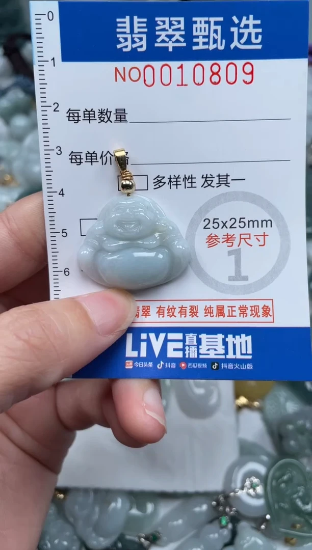 颈饰未镶嵌翡翠10809