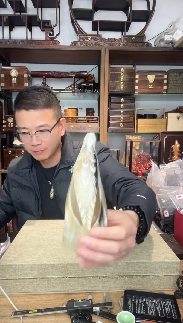 乌木类书架得*比007角雕刻猫头鹰摆件  白色