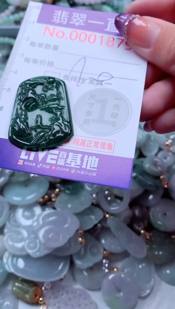 翡翠未镶嵌吊坠(不含链)1879