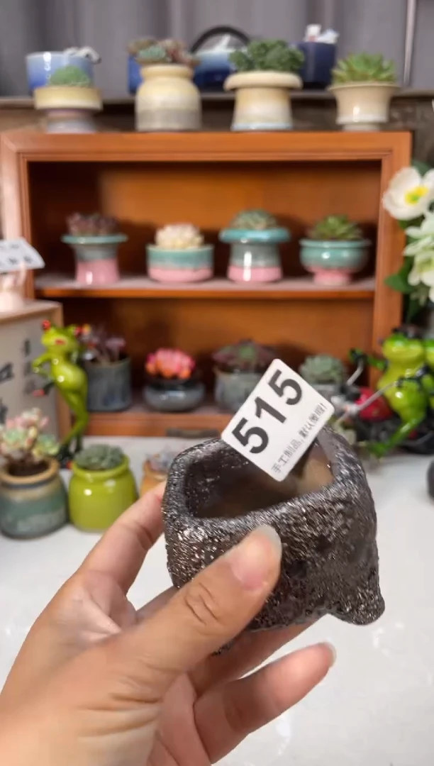 瓷片515小芳直播编号
