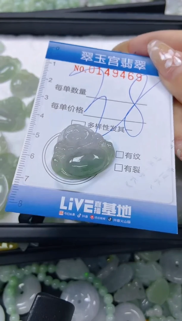 翡翠未镶嵌颈饰闪购0149469