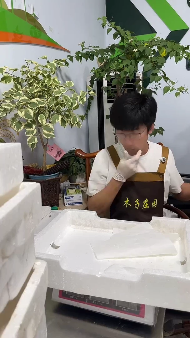 我****菜考黑无花果30枚