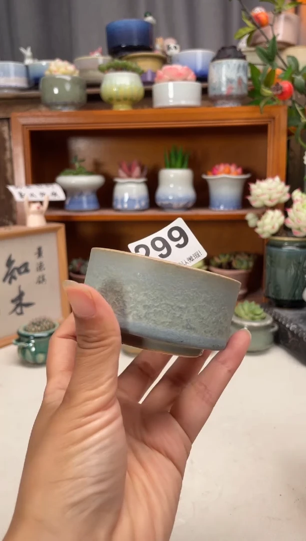 瓷片299知木小芳花盆