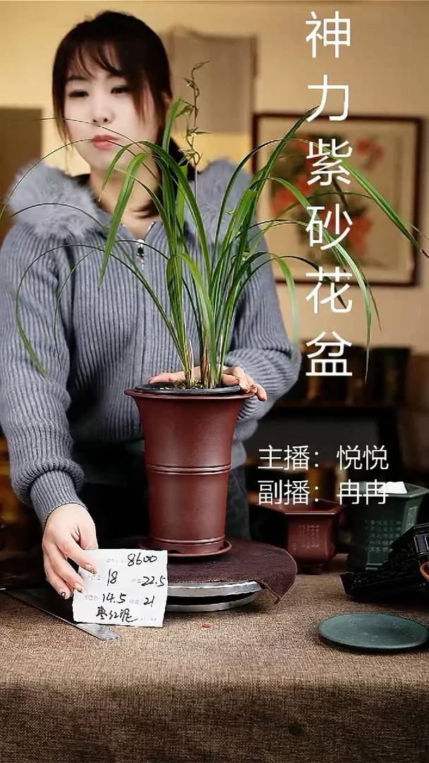 紫砂花盆花卉工艺8600+z