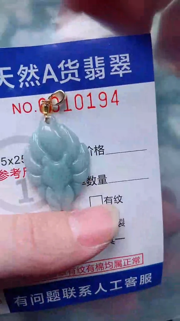 翡翠未镶嵌吊坠(赠链)1