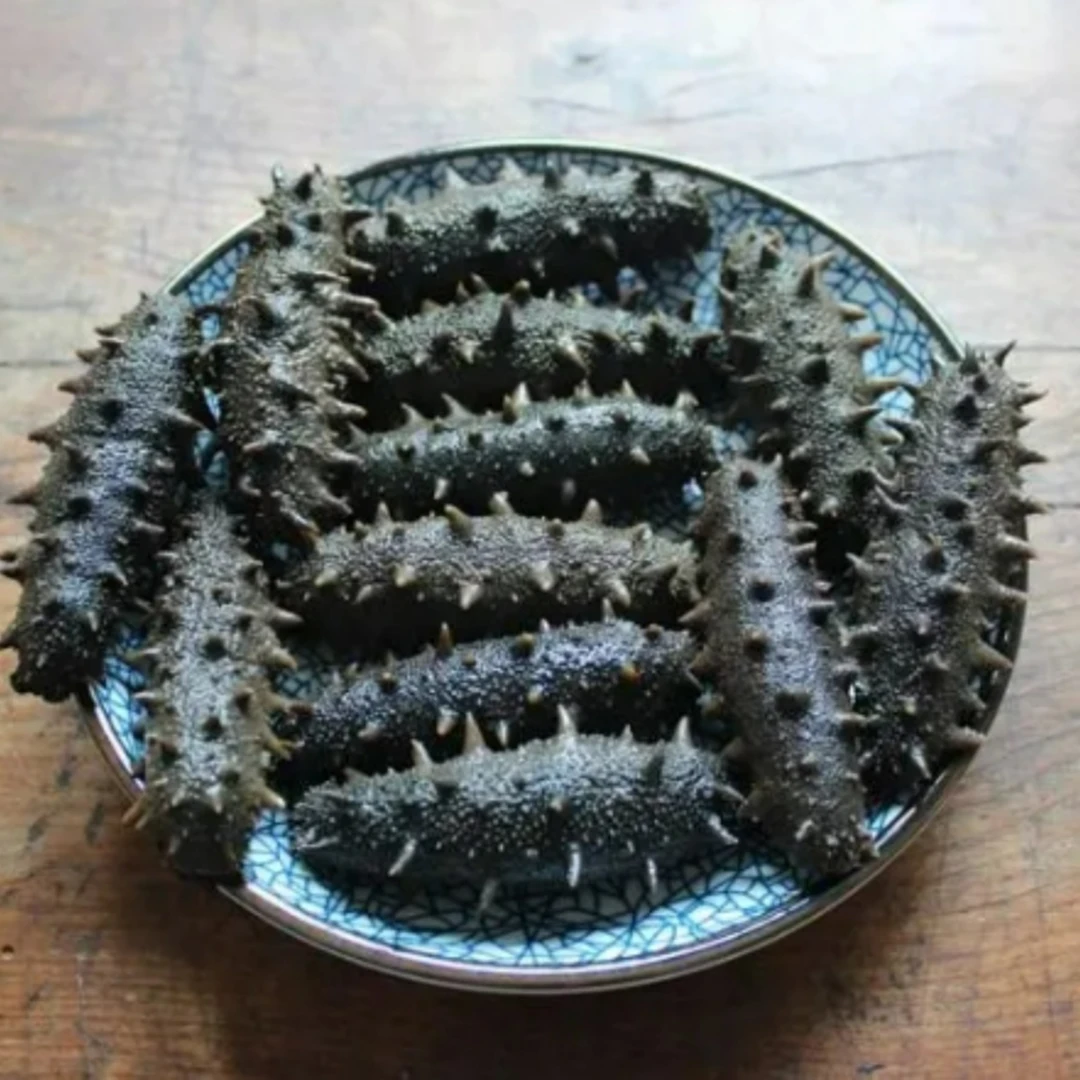 【小海货】【湿】拉缸盐海参 【40-50头/500g 】 顺丰包邮