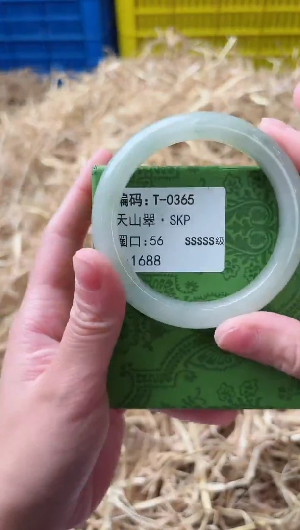 未镶嵌手镯石英质玉T-0365