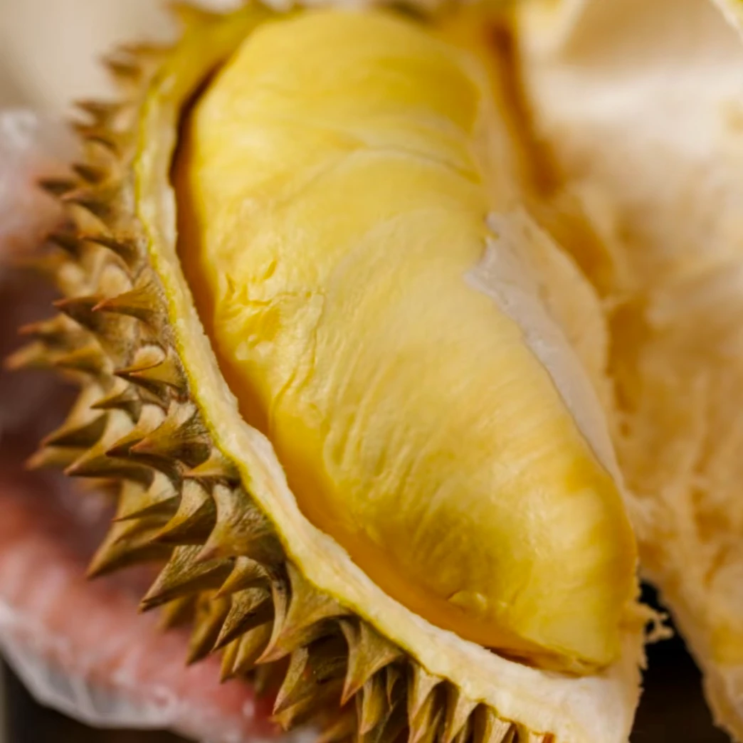 金枕鲜榴莲（1500-2000g)榴莲小时达有一定概率核大金枕越南