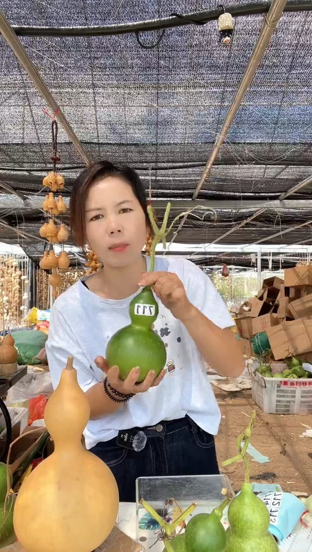 711天然葫芦摆件 一物一拍龙头不保售后