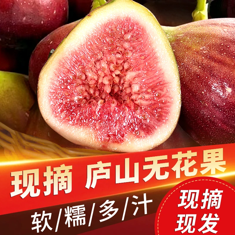 【邮政甄选】新鲜无花果庐山5A级风景区应季水果树上熟现摘现发