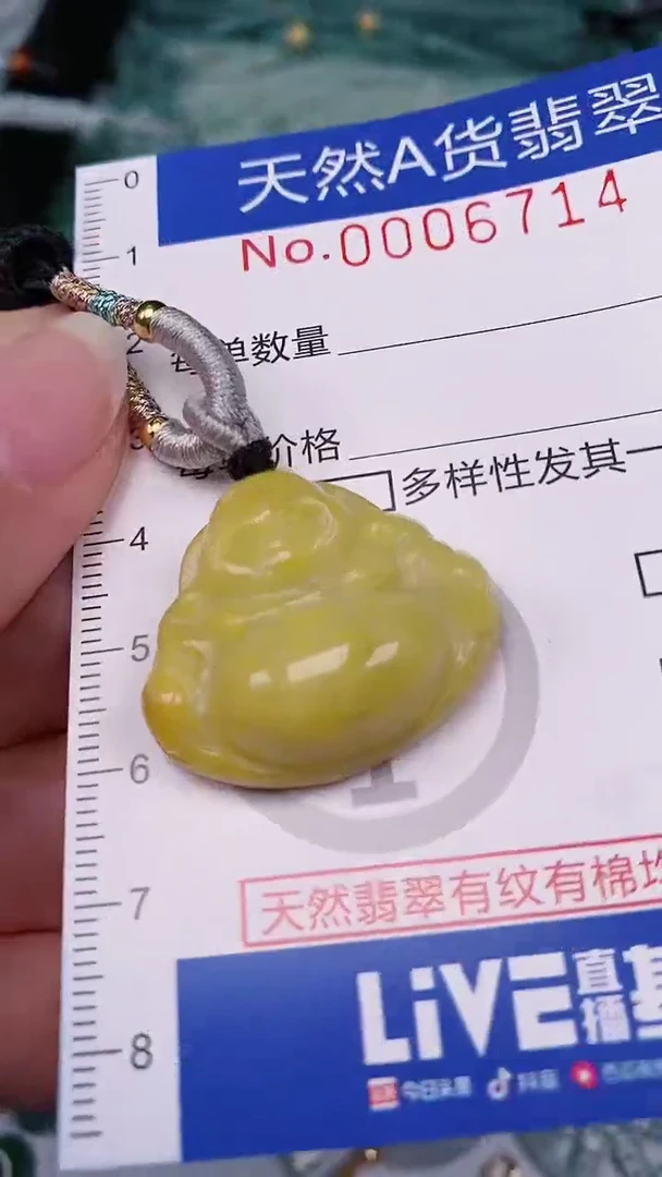 【闪购商品】翡翠颈饰未镶嵌00006714