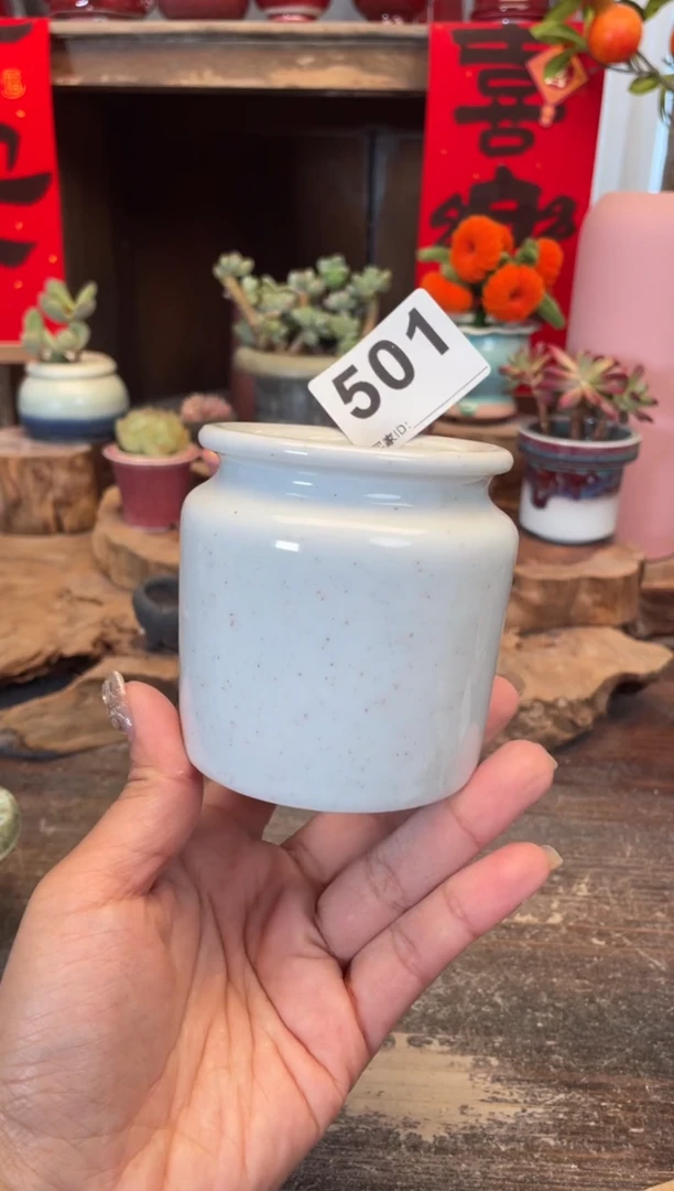 【闪购商品】摆件501知木小芳花盆
