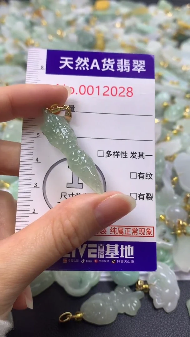 颈饰未镶嵌翡翠1