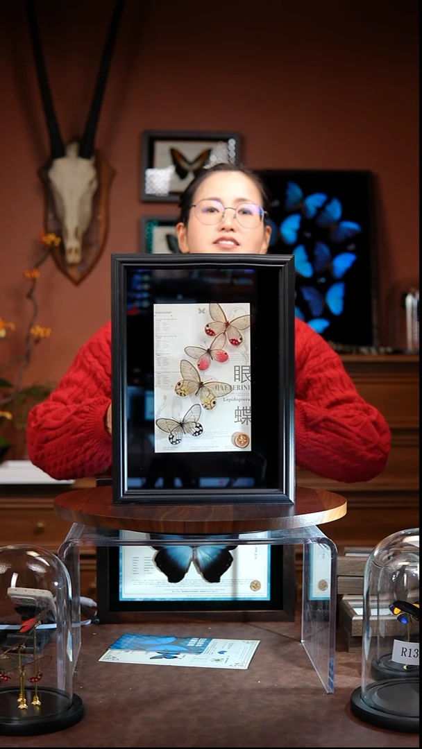 R135    4只眼蝶组合款