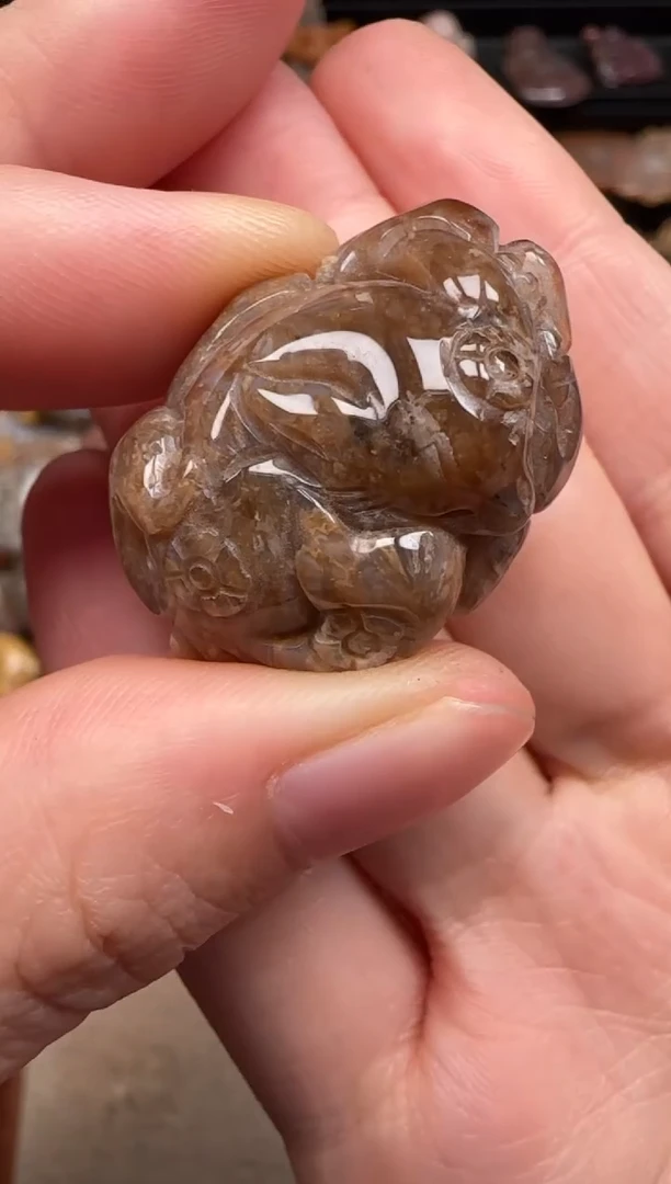 硅化珊瑚（珊瑚玉）未镶嵌颈饰702