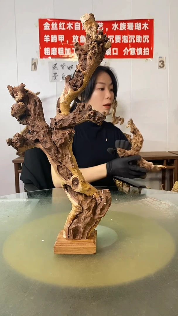 木用****9金丝红木 羊蹄甲