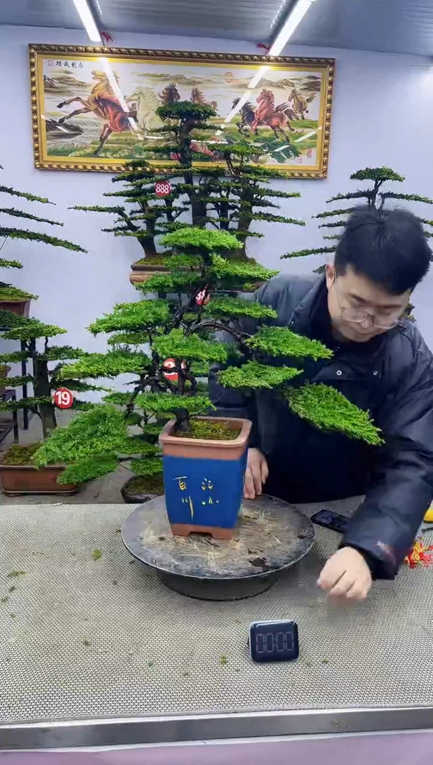 【闪购商品】啊啊啊啊啊