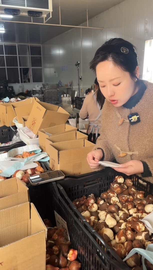 ?**一200颗五度球 100颗自然球