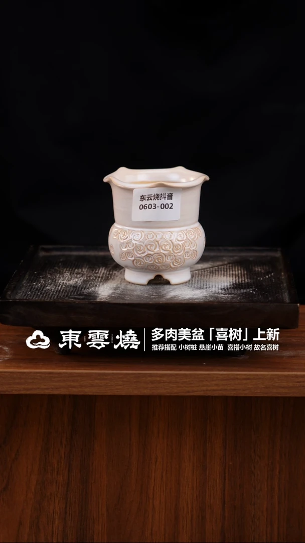 0603-002A 喜树口5.5